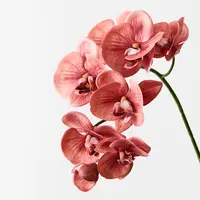 Artificial Phalaenopsis Orchid Spray<br>Watermelon