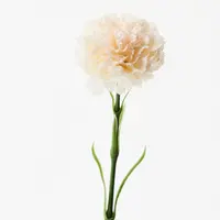 Artificial Carnation-Real Touch<br>Ivory