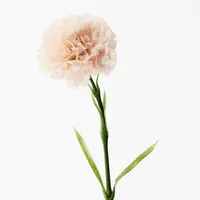 Artificial Carnation-Real Touch<br>Soft Pink