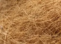 Coconut Fibre