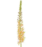 Artificial Eremurus Foxtail Stem<br>Peach