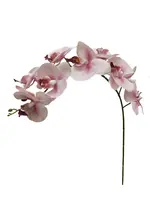 Artificial Phalaenopsis Orchid Spray<br>Light Pink