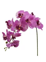 Artificial Phalaenopsis Orchid Spray<br>Purple