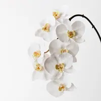 Artificial Phalaenopsis Orchid Spray<br>White