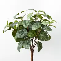 Artificial Fittonia Bush<br>38cm