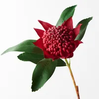 Artificial Waratah Stem<br>Red