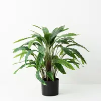 Artificial Calathea Plant<br>60cm