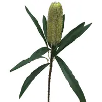 Artificial Banksia<br>Green