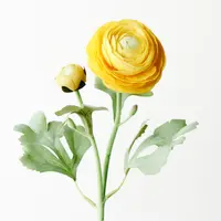 Artificial Ranunculus Spray<br>Yellow