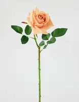 Artificial Rose<br>Apricot