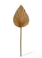 Dried Mini Heart Fan Palm<br>Natural 15cm
