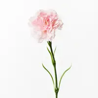 Artificial Carnation-Real Touch<br>Light Pink