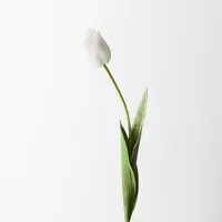 Artificial Tulip Stem<br>Real Touch - White