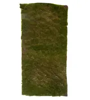 Artificial Moss Mat<br>1m x 50cm