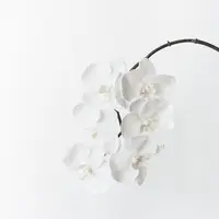 Artificial Phalaenopsis Orchid Spray<br>Winter White 86cm