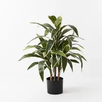 Artificial Cordyline Plant<br>Green/White 80cm