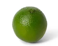 Artificial Lime<br>Single