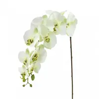 Artificial Phalaenopsis Orchid<br>Apple Green 105cm