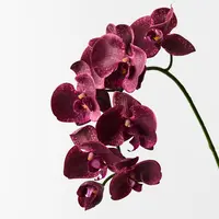 Artificial Phalaenopsis Orchid Spray<br>Burgundy