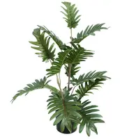 Artificial Philo Plant<br>50cm