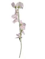 Artificial Sweet Pea Spray<br>Light Pink