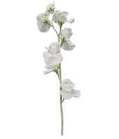 Artificial Sweet Pea Spray<br>White