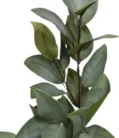 1. Artificial Broad Leaf Gum<br>Green thumbnail