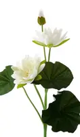 Artificial Flowering Waterlily<br>Cream
