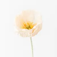 Artificial Iceland Poppy<br>Peach