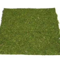 Artificial Moss Mat<br>45cm x 40cm Adhesive Back