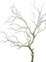 Artificial Branch<br>White 93cm