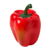 Artificial Capsicum<br>Red