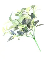 Artificial Fittonia Plant Bush<br>30cm