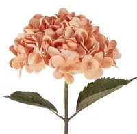Artificial Hydrangea<br>Dried Look - Apricot