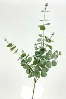 Artificial Gum Spray<br>Green