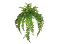Artificial Hanging Baker Fern<br>80cm
