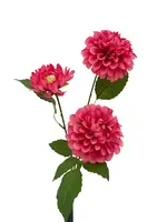 Artificial Dahlia Spray<br>Hot Pink
