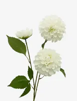 Artificial Dahlia Spray<br>White