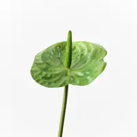 Artificial Anthurium<br>Green