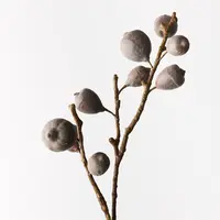 Artificial Fig Spray<br>Coffee
