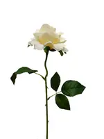 Artificial Rose<br>Cream