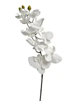 Artificial Phalaenopsis Orchid<br>White