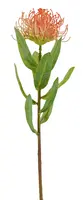 Artificial Pincushion Protea<br>Orange