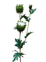 Artificial Thistle Spray<br>White