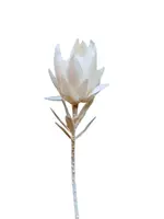 Artificial Protea<br>White