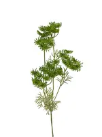 Artificial Queen Anne Lace<br>Green