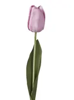 Artificial Tulip Stem<br>Real Touch - Purple