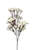 Artificial Baby's Breath Spray<br>Cream