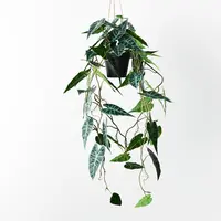 Artificial Hanging Alocasia Vine<br>Potted - 72cm