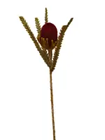 Artificial Banksia Stem<br>Burgundy